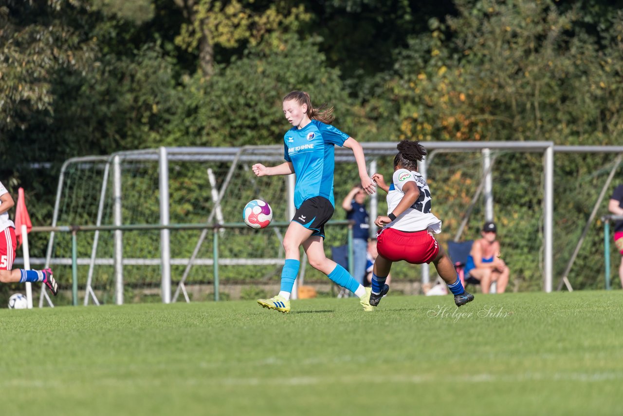 Bild 237 - wBJ VfL Pinneberg - Hamburger SV 2 : Ergebnis: 1:3